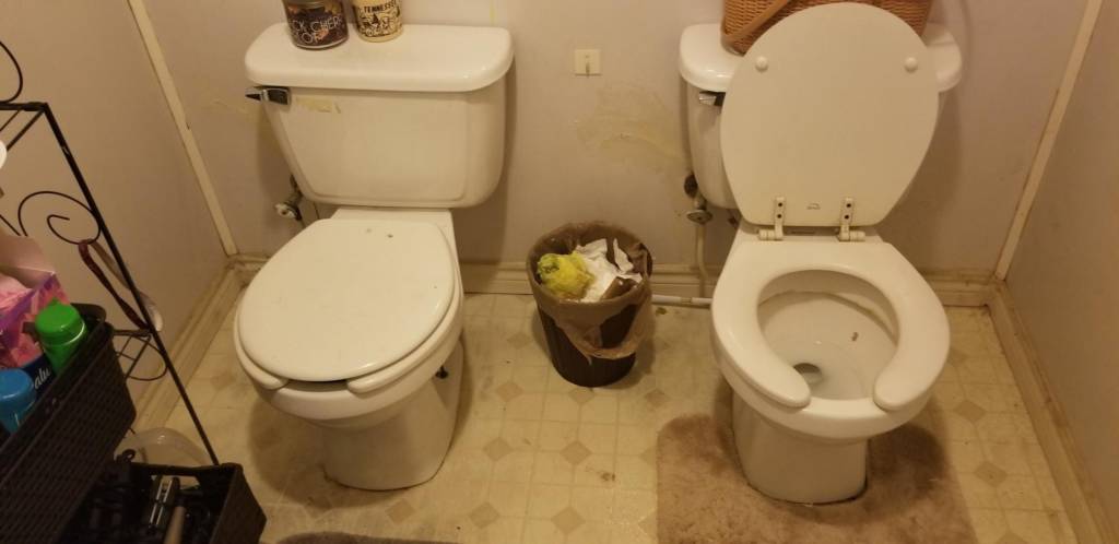 dueling toilets during a home inspection