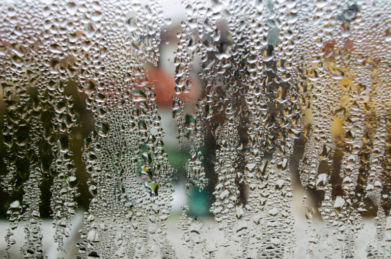 Rain = Humidity = Problems in Your Home Dallas / Fort Worth Home