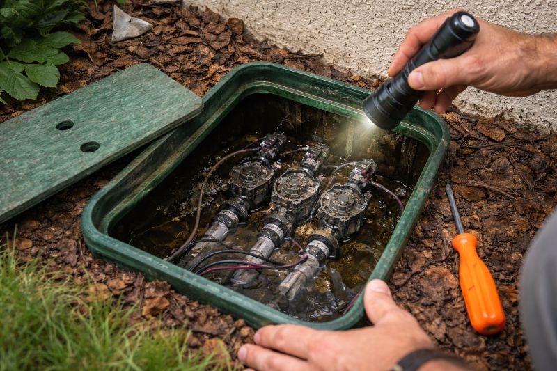 fort worth irrigation system inspection